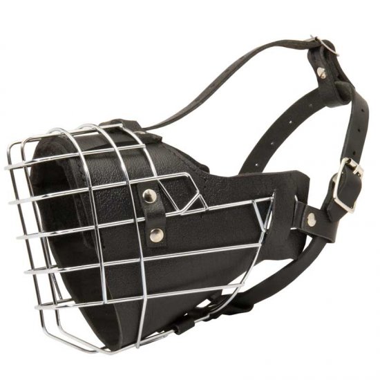 padded dog muzzle