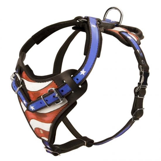 schutzhund agitation harness