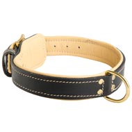 Padded Leather Schutzhund Dog Collar Padded Leather Schutzhund Dog Collar