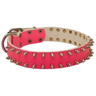 pink spiked dog collar