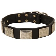 Leather Schutzhund Dog Collar with Large Nickel Plates Leather Schutzhund Dog Collar with Large Nickel Plates