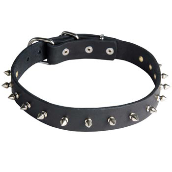 Schutzhund Dog Dog Leather Collar Steel Nickel Plates Spikes