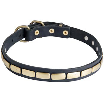 Walking Leather Collar with Brass Decoration for Schutzhund Dog