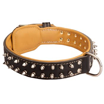 Schutzhund Dog Collar Leather Spiked Padded