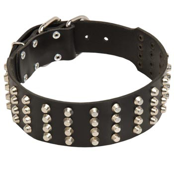 2 Inches Leather   Schutzhund Dog Collar Extra Wide Studded