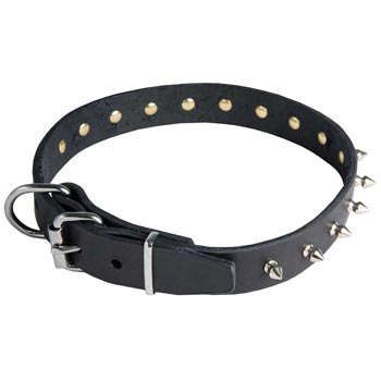 Schutzhund Dog Leather Collar with Spikes