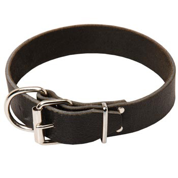 Schutzhund Dog Leather Collar