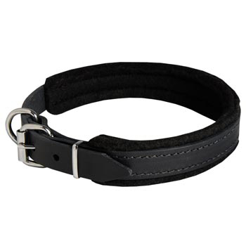 Padded Leather Schutzhund Dog Collar Adjustable