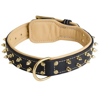 Leather Schutzhund Dog Collar Spiked Padded with Nappa Leather Adjustable 