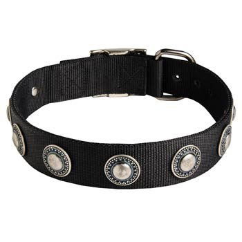 Schutzhund Dog Dog Nylon Collar Awesome Design