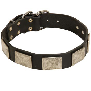 Walking Leather Schutzhund Dog Collar