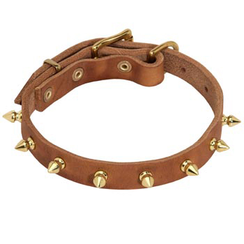 Designer Leather Collar for Schutzhund Dog