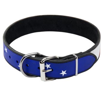 Schutzhund Dog Leather Collar With American  Flag Painting