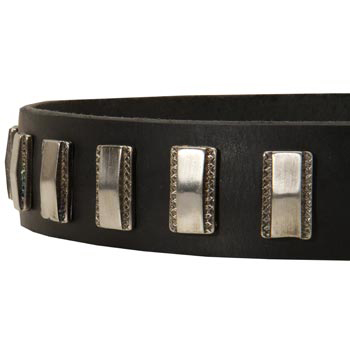 Stylish Leather Collar with Vintage Plates for Schutzhund Dog