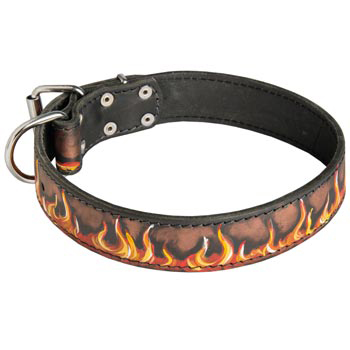 Leather Schutzhund Dog Collar Designer for Dog Walking and Training