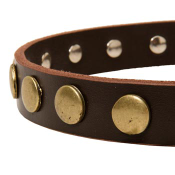 Designer Leather Dog Collar for Walking Schutzhund Dog