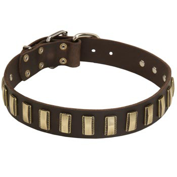 Leather Schutzhund Dog Collar Designer for Walking in Style