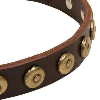 Schutzhund Dog Collar with Stylish Circles