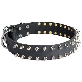 Spiked Leather Collar for Schutzhund Dog