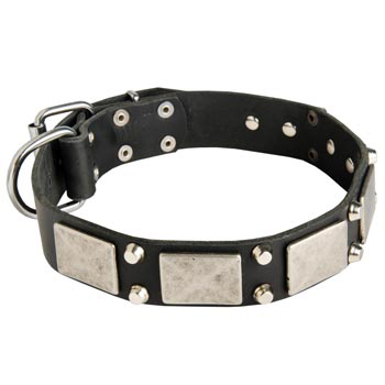 Studded Leather Schutzhund Dog Collar