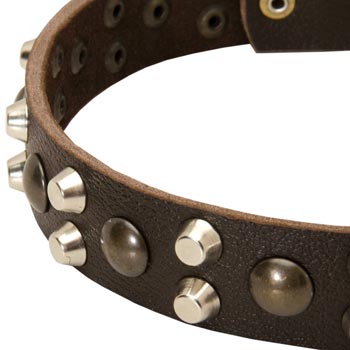 Leather Schutzhund Dog Collar with Hand Set Studs