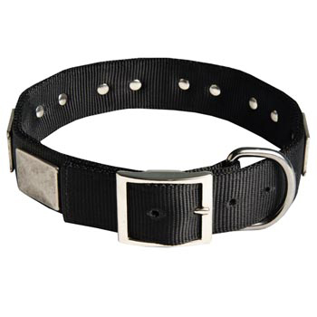 Designer Nylon Dog Collar Wide with Easy Release Buckle for   Schutzhund Dog