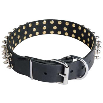 Spiked Buckle Collar for Schutzhund Dog