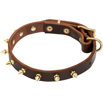 Leather Schutzhund Dog Collar with Brass Spikes