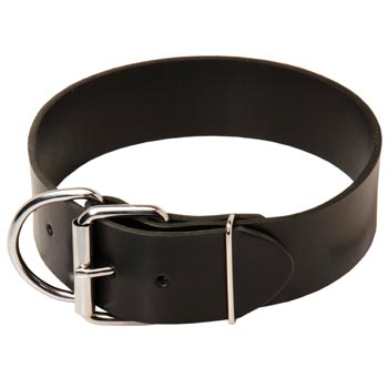 Schutzhund Dog Leather Collar of Extra Width