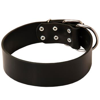 Leather Schutzhund Dog Collar for Control During Walking