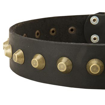 Leather Dog Collar with Brass Pyramids for Schutzhund Dog