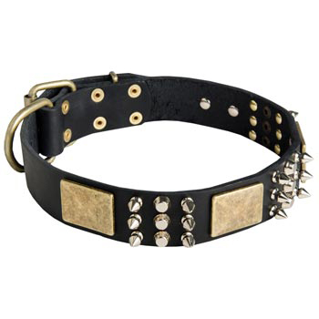 Stylish Wide Leather Dog Collar for Schutzhund Dog Walking