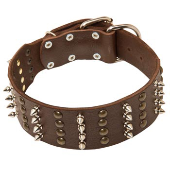 Leather Collar for Schutzhund Dog Walking in Style 