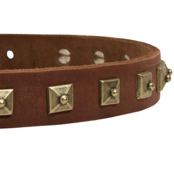 Schutzhund Dog Leather Collar With Square  Studs