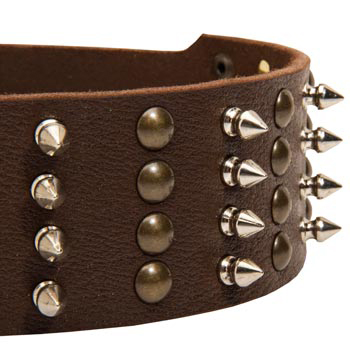 Schutzhund Dog Leather Collar with Rust-proof Fittings