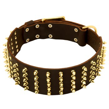 Fashionable Spiked Leather Schutzhund Dog Collar