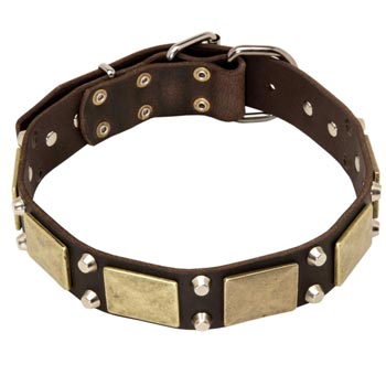 Nickel Studded Leather Schutzhund Dog Collar