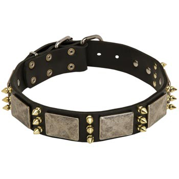 Vintage Leather Collar for Schutzhund Dog