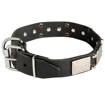 Leather Buckle Collar for Schutzhund Dog Walking