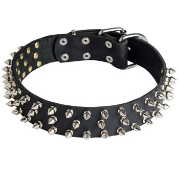 Leather Schutzhund Dog Collar with Spikes