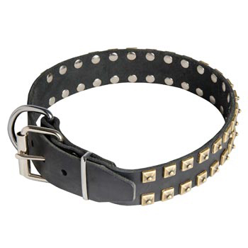 Leather Schutzhund Dog Collar with Solid Rivets