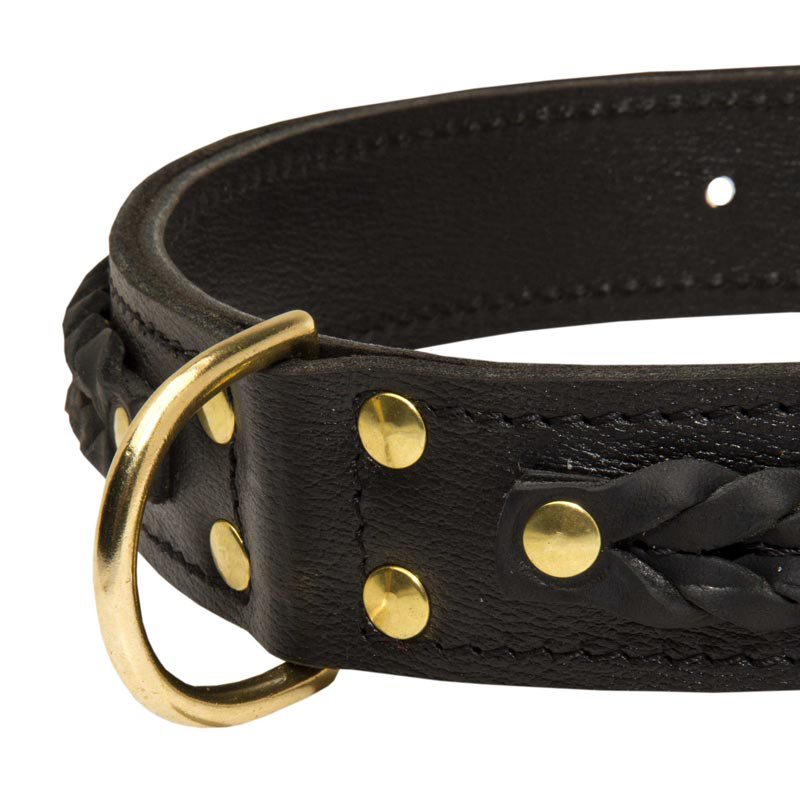 wide leather dog collars