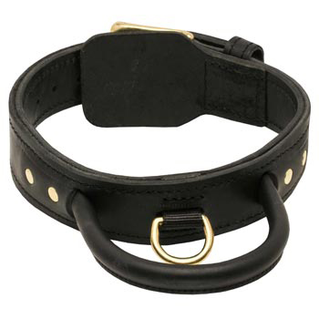 Leather Dog Collar with Handle for Schutzhund Dog