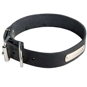 Leather Schutzhund Dog Collar for Identification