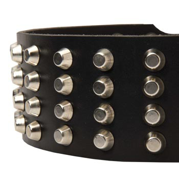 Leather Dog Collar with Studs for   Schutzhund Dog