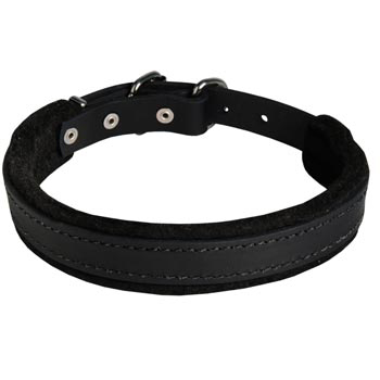 Schutzhund Dog Collar Leather for Dog Protection Attack Training