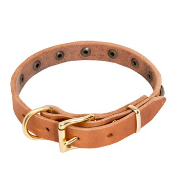 Schutzhund Dog Leather Collar with Studs