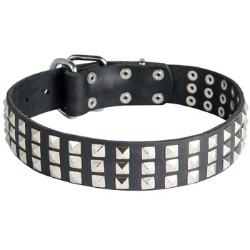 Studded Schutzhund Dog Collar