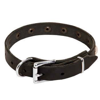 Leather Dog Puppy Collar with Steel Nickel Plated Studs for Schutzhund Dog