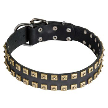 Leather Schutzhund Dog Collar with Firm Studs